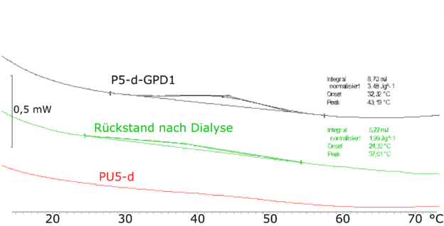 Abb. 2: DSC-Kurven des Polymer-Kollagen-Hybrids P5-d-GPD1 (schwarz), des Ausgangspolymers P5-d (rot) sowie des Rückstandes aus der Dialyse (grün)